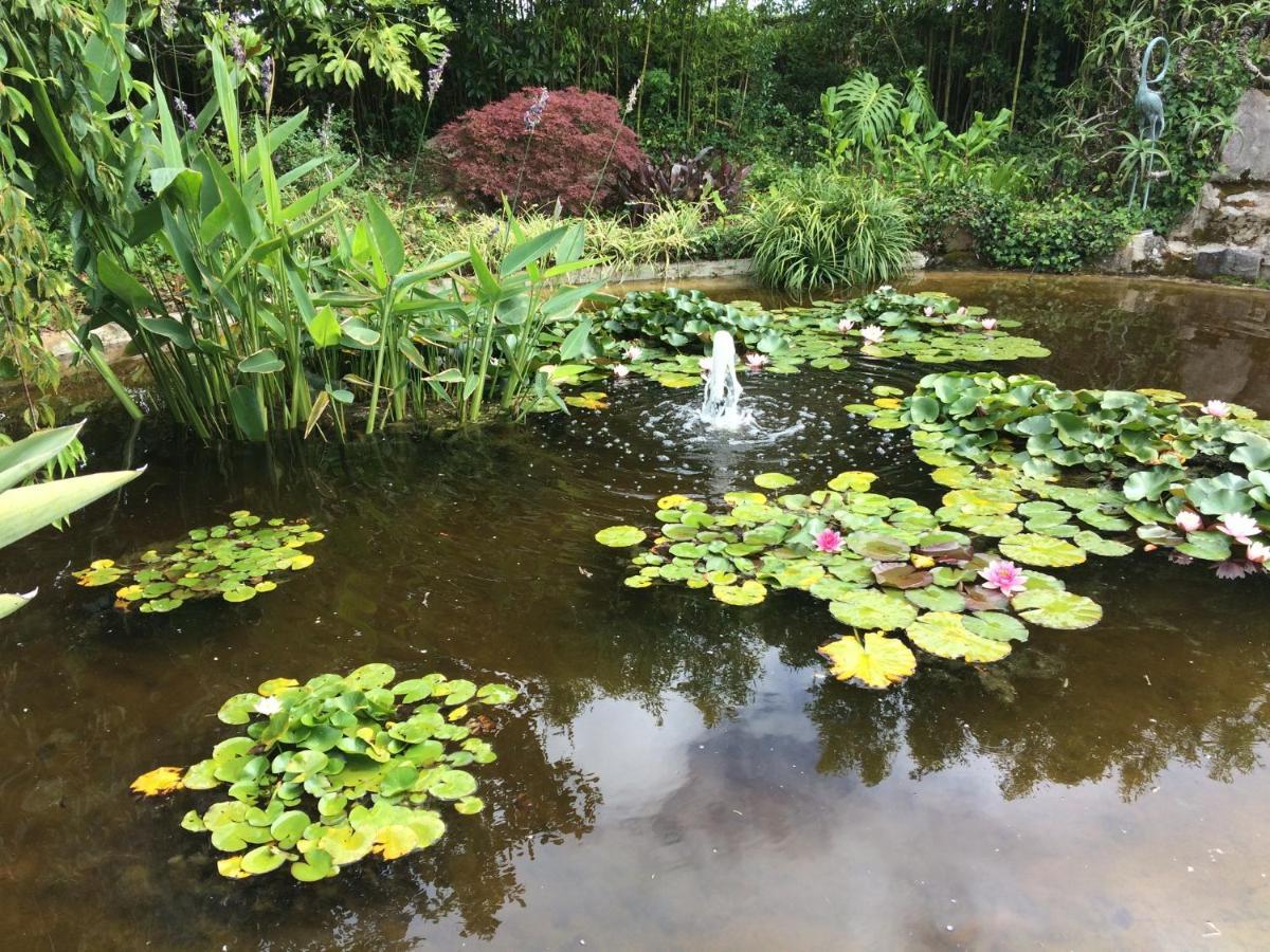 Quinta Das Pedras Belas Luaran gambar