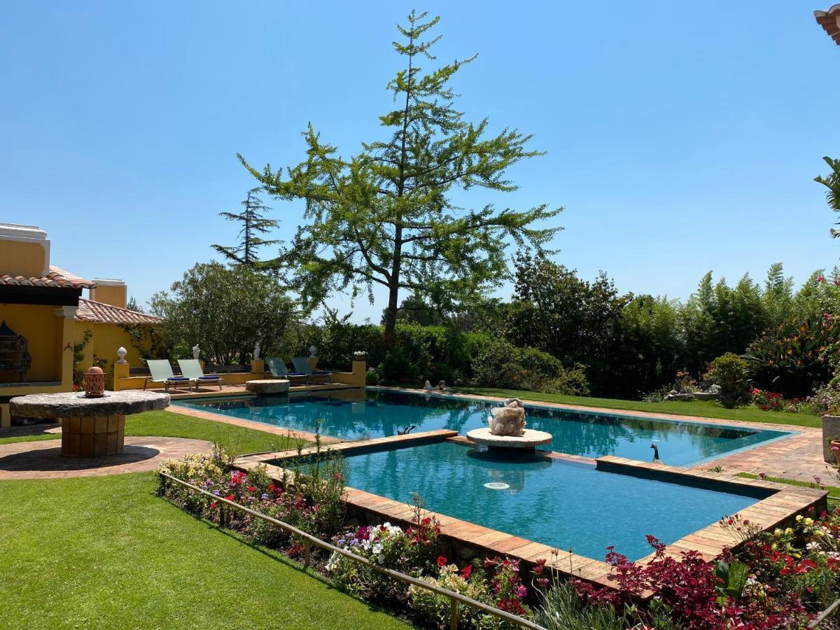 Quinta Das Pedras Belas Luaran gambar